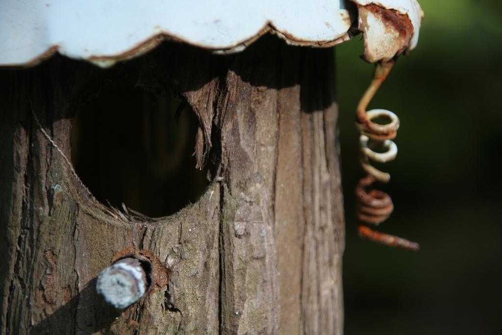 Gite Nature Et Confiture Esterel Exterior foto